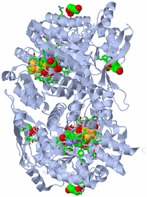 Image Biol. Unit 1 - sites