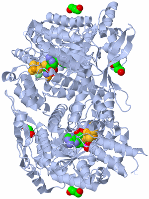 Image Biological Unit 1