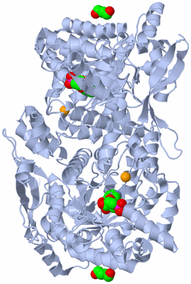 Image Biological Unit 1