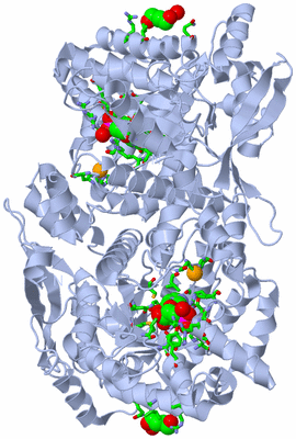 Image Biol. Unit 1 - sites