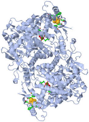 Image Biol. Unit 1 - sites