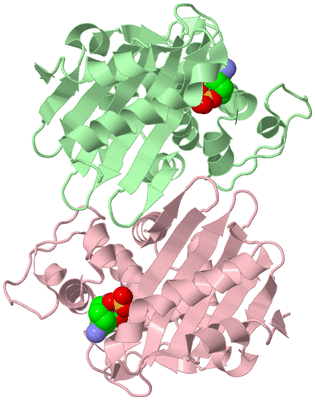 Image Biological Unit 2