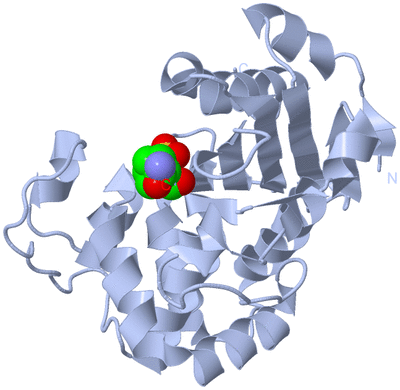 Image Biological Unit 3