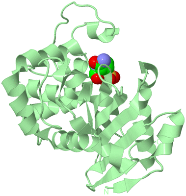 Image Biological Unit 4