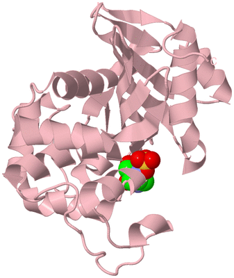 Image Biological Unit 5