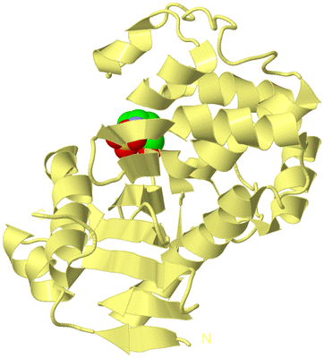 Image Biological Unit 6