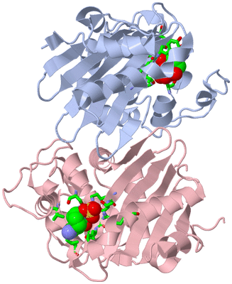 Image Biol. Unit 1 - sites