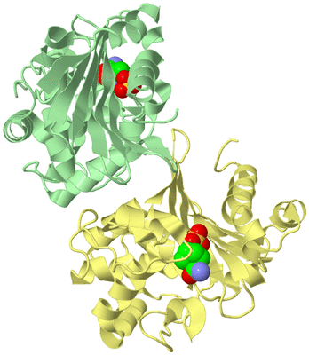 Image Biological Unit 2