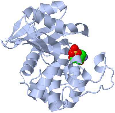 Image Biological Unit 3