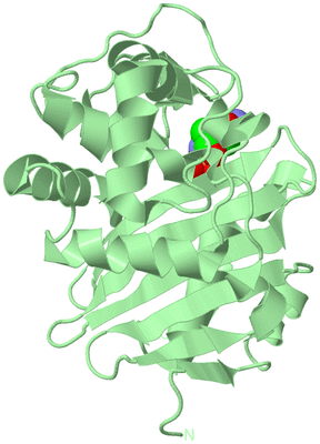 Image Biological Unit 4