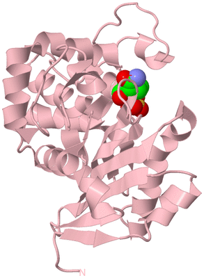 Image Biological Unit 5