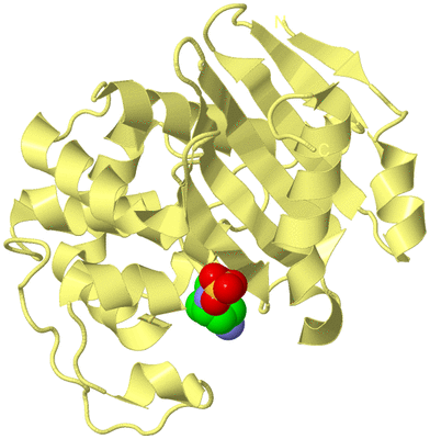 Image Biological Unit 6