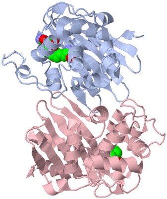 Image Biological Unit 1