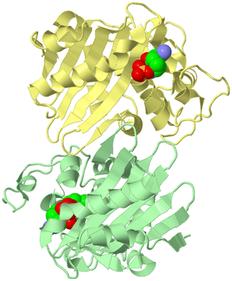 Image Biological Unit 2