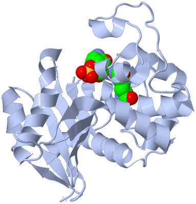 Image Biological Unit 3