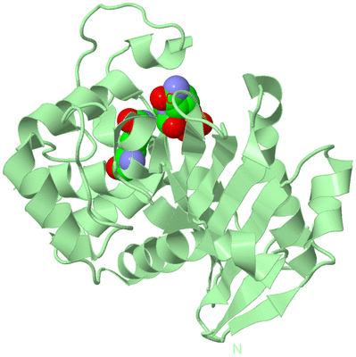 Image Biological Unit 4