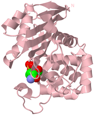 Image Biological Unit 5