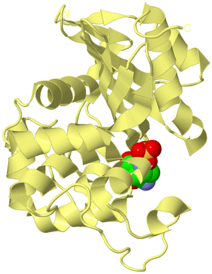 Image Biological Unit 6