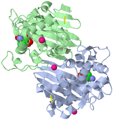 Image Asym./Biol. Unit