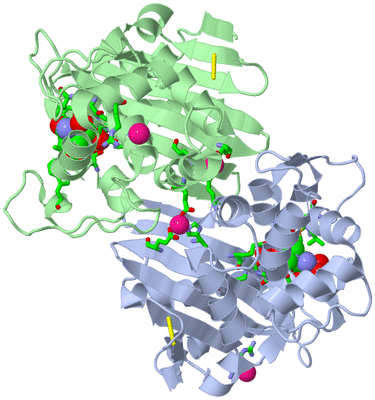 Image Asym./Biol. Unit - sites