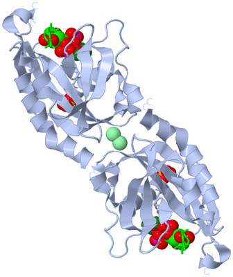 Image Biological Unit 2