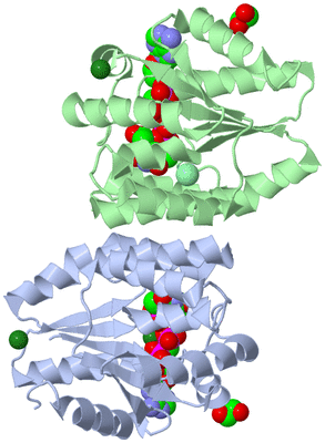 Image Asym./Biol. Unit