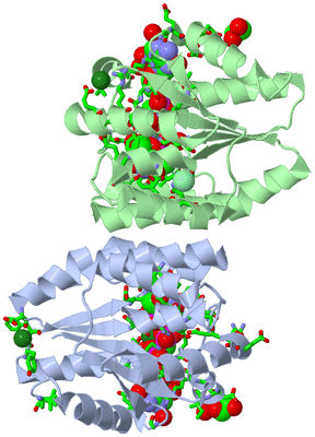 Image Asym./Biol. Unit - sites