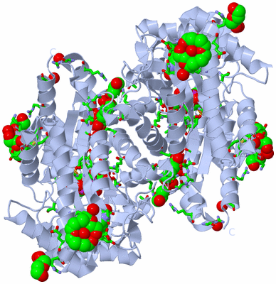 Image Biol. Unit 1 - sites