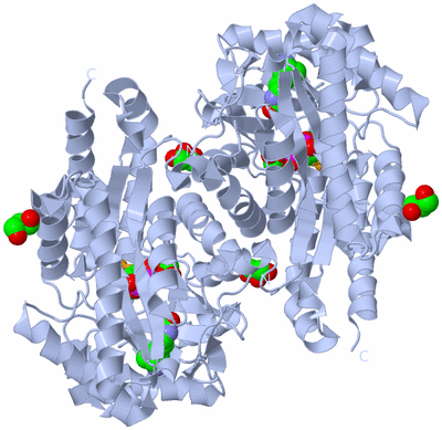 Image Biological Unit 1