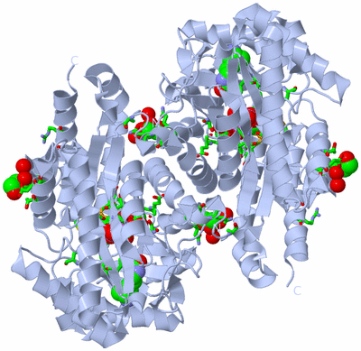 Image Biol. Unit 1 - sites