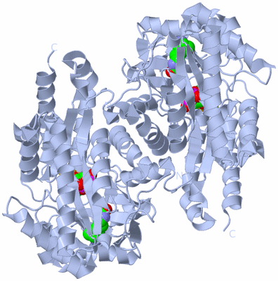 Image Biological Unit 1