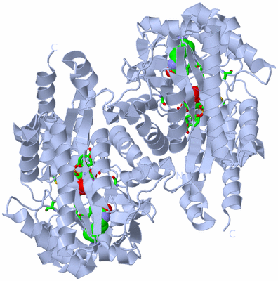 Image Biol. Unit 1 - sites