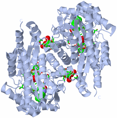 Image Biol. Unit 1 - sites