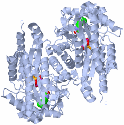 Image Biological Unit 1