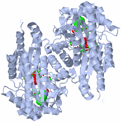 Image Biol. Unit 1 - sites