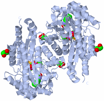 Image Biological Unit 1