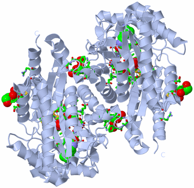 Image Biol. Unit 1 - sites