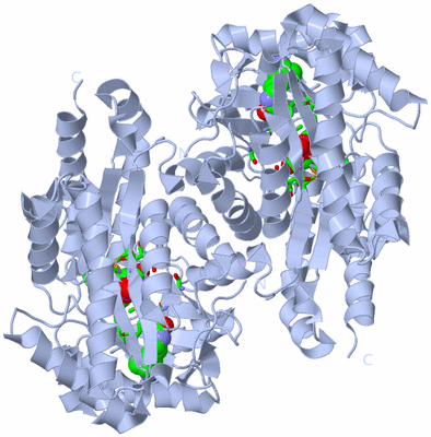 Image Biol. Unit 1 - sites