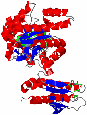 Image Asym. Unit - sites