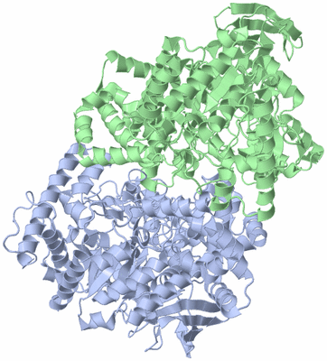 Image Biological Unit 3