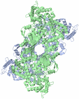 Image Biological Unit 6