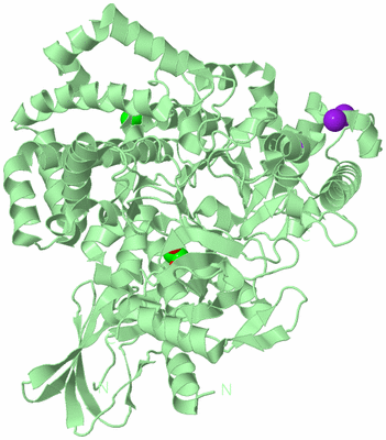 Image Biological Unit 2