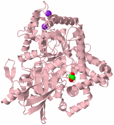 Image Biological Unit 3