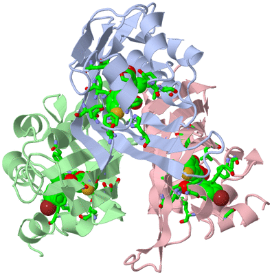 Image Asym./Biol. Unit - sites