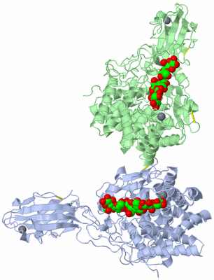 Image Asymmetric Unit