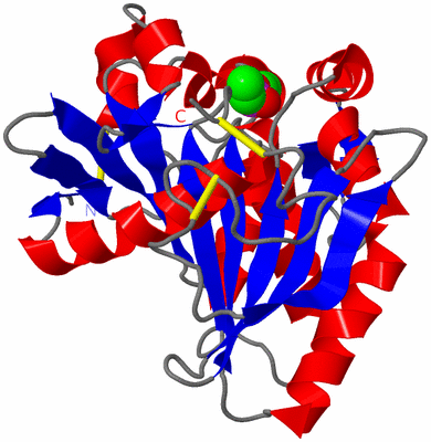 Image Asym./Biol. Unit