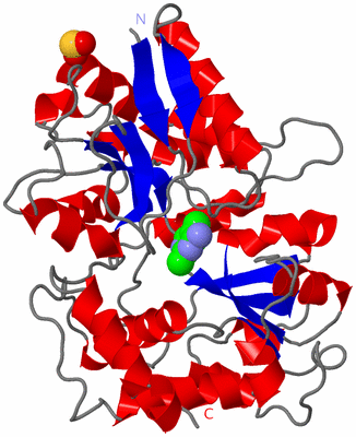 Image Asym./Biol. Unit