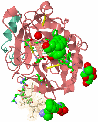 Image Asym./Biol. Unit - sites