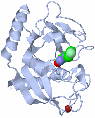 Image Biological Unit 1