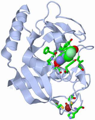 Image Biol. Unit 1 - sites